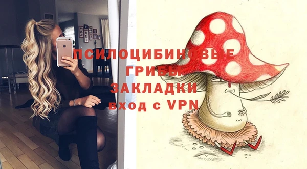 бошки Алексеевка