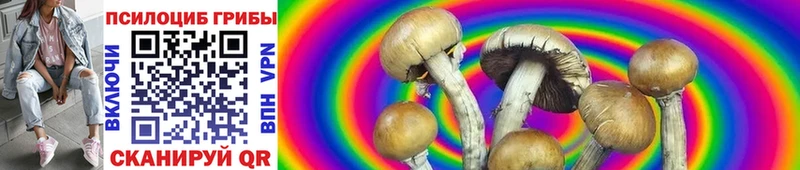 купить наркотик  Гагарин  KRAKEN ТОР  Псилоцибиновые грибы GOLDEN TEACHER 