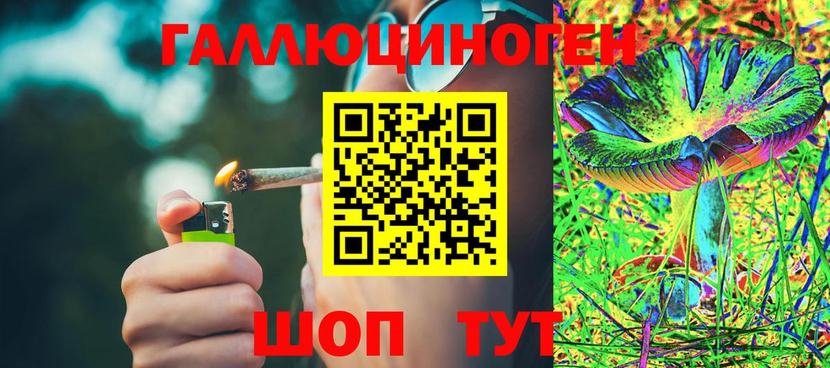Галлюциногенные грибы Cubensis  Вход с VPN  Галлюциногенные грибы Cubensis  Гагарин 
