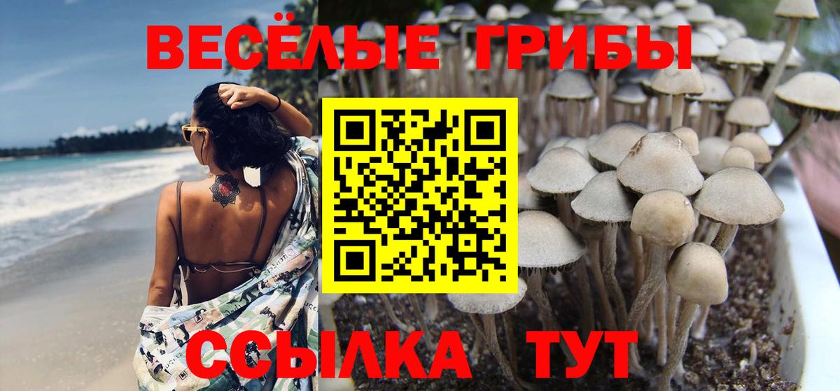 Псилоцибиновые грибы GOLDEN TEACHER Гагарин